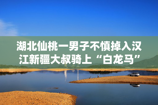 湖北仙桃一男子不慎掉入汉江新疆大叔骑上“白龙马”下水救人