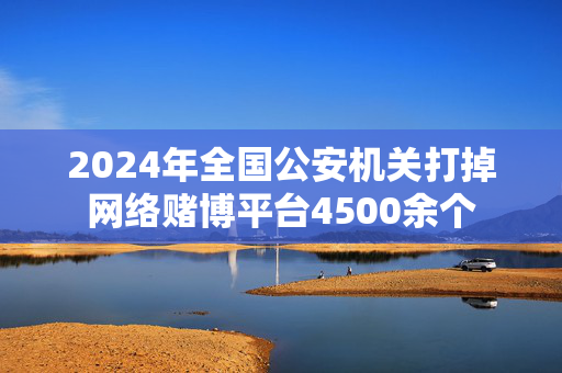 2024年全国公安机关打掉网络赌博平台4500余个