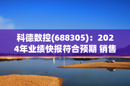 科德数控(688305)：2024年业绩快报符合预期 销售订单快速增长