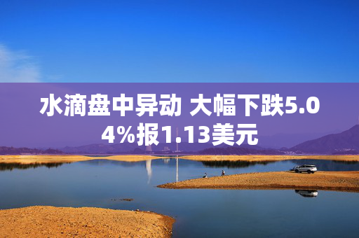 水滴盘中异动 大幅下跌5.04%报1.13美元