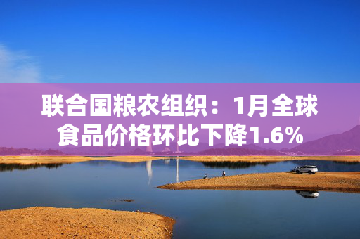 联合国粮农组织：1月全球食品价格环比下降1.6%