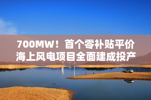 700MW！首个零补贴平价海上风电项目全面建成投产