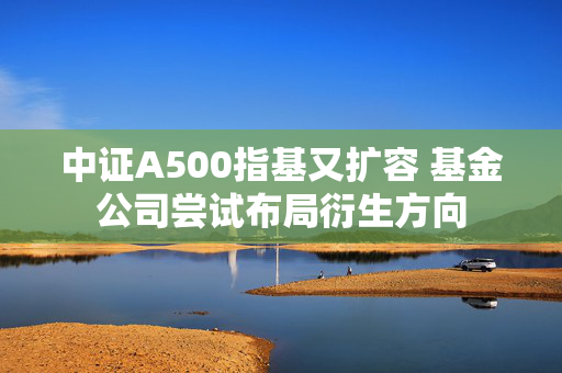 中证A500指基又扩容 基金公司尝试布局衍生方向