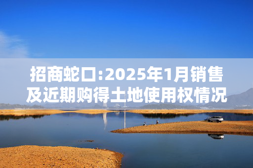 招商蛇口:2025年1月销售及近期购得土地使用权情况简报