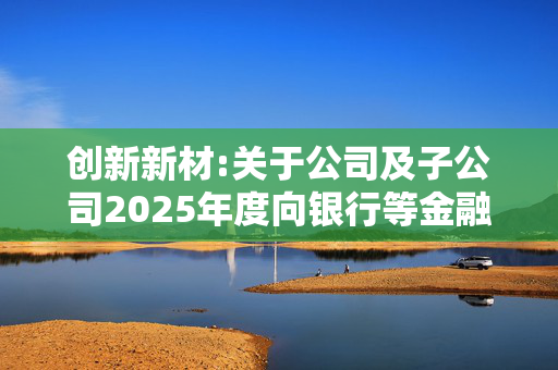 创新新材:关于公司及子公司2025年度向银行等金融机构申请综合授信提供担保事项的进展公告