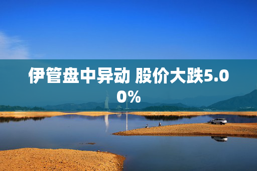 伊管盘中异动 股价大跌5.00%