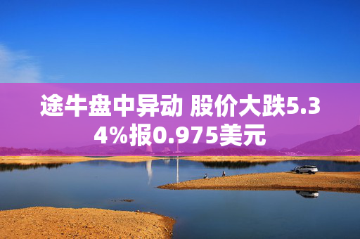 途牛盘中异动 股价大跌5.34%报0.975美元