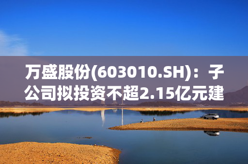 万盛股份(603010.SH)：子公司拟投资不超2.15亿元建设年产4.42万吨高端新材料一体化生产项目