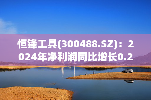 恒锋工具(300488.SZ)：2024年净利润同比增长0.28%