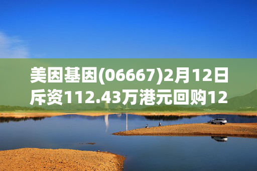 美因基因(06667)2月12日斥资112.43万港元回购12.54万股