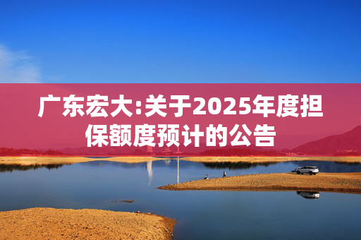 广东宏大:关于2025年度担保额度预计的公告