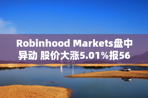 Robinhood Markets盘中异动 股价大涨5.01%报56.01美元