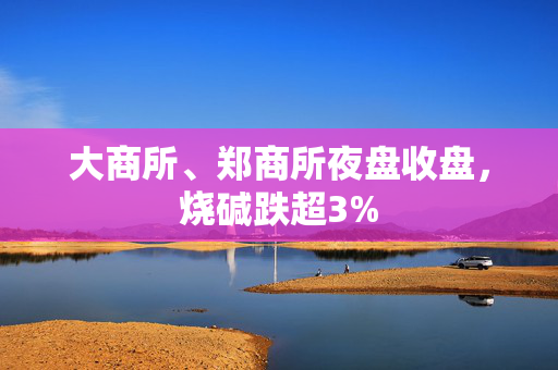 大商所、郑商所夜盘收盘，烧碱跌超3%