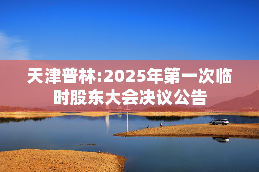 天津普林:2025年第一次临时股东大会决议公告