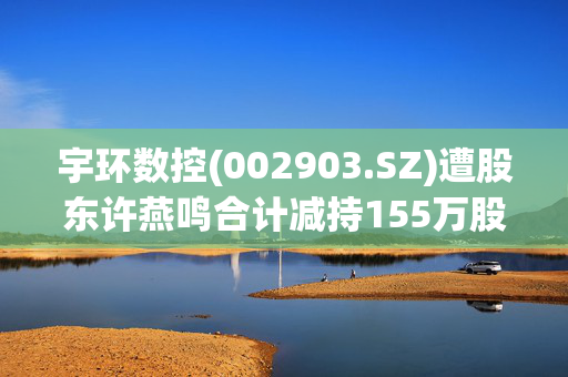 宇环数控(002903.SZ)遭股东许燕鸣合计减持155万股