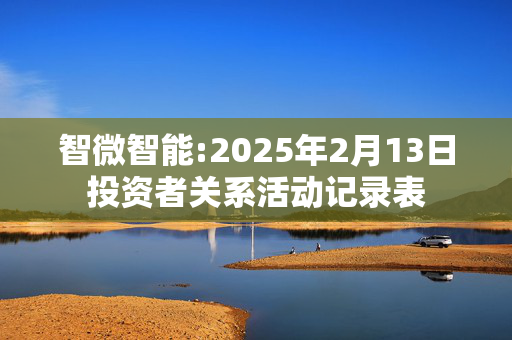 智微智能:2025年2月13日投资者关系活动记录表