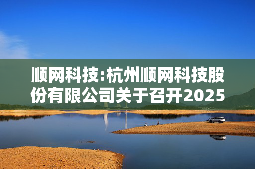 顺网科技:杭州顺网科技股份有限公司关于召开2025年第一次临时股东大会的通知