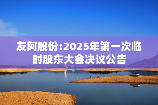 友阿股份:2025年第一次临时股东大会决议公告