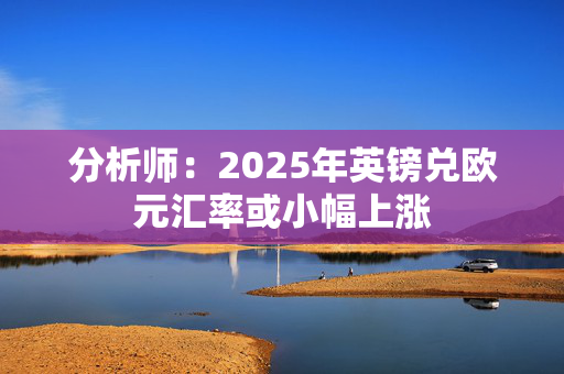 分析师：2025年英镑兑欧元汇率或小幅上涨