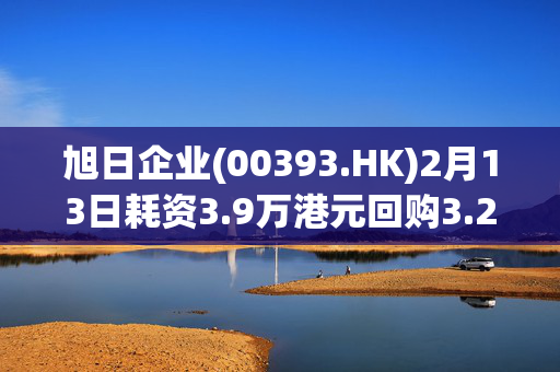 旭日企业(00393.HK)2月13日耗资3.9万港元回购3.2万股