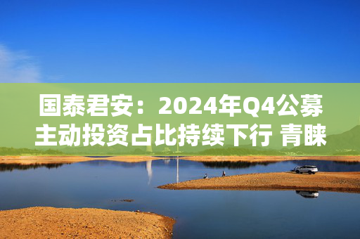 国泰君安：2024年Q4公募主动投资占比持续下行 青睐科技与港股