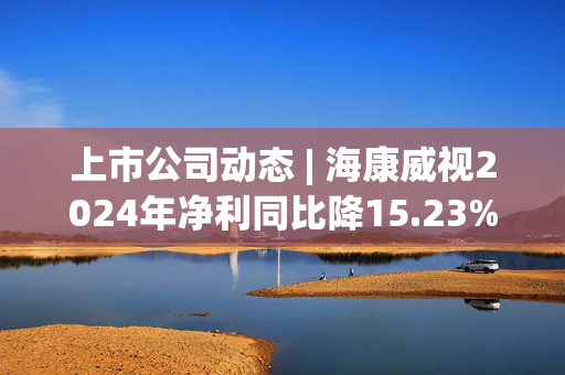 上市公司动态 | 海康威视2024年净利同比降15.23%，晶澳科技、和辉光电拟“A+H”，赛力斯并购超级工厂获批