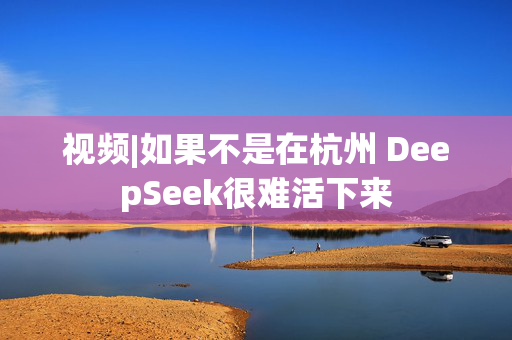 视频|如果不是在杭州 DeepSeek很难活下来