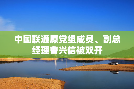 中国联通原党组成员、副总经理曹兴信被双开