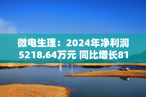 微电生理：2024年净利润5218.64万元 同比增长817.4%