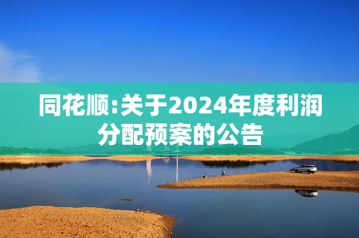 同花顺:关于2024年度利润分配预案的公告