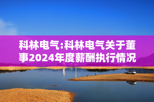 科林电气:科林电气关于董事2024年度薪酬执行情况及2025年度薪酬方案的公告