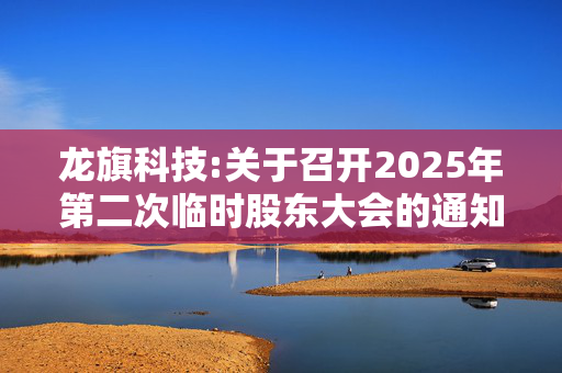 龙旗科技:关于召开2025年第二次临时股东大会的通知