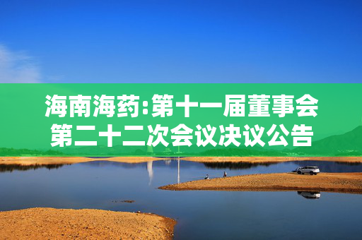 海南海药:第十一届董事会第二十二次会议决议公告