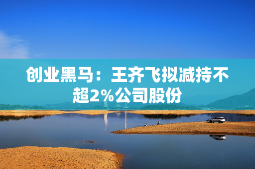 创业黑马：王齐飞拟减持不超2%公司股份