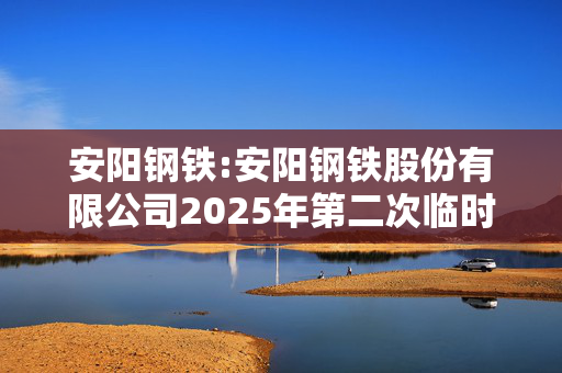 安阳钢铁:安阳钢铁股份有限公司2025年第二次临时董事会会议决议公告