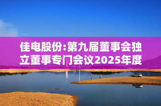 佳电股份:第九届董事会独立董事专门会议2025年度第二次会议的审核意见