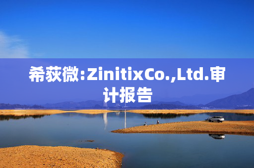 希荻微:ZinitixCo.,Ltd.审计报告