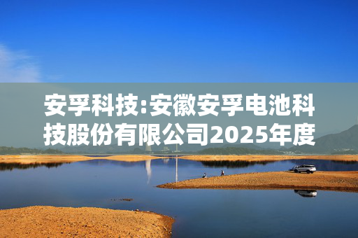 安孚科技:安徽安孚电池科技股份有限公司2025年度“提质增效重回报”行动方案