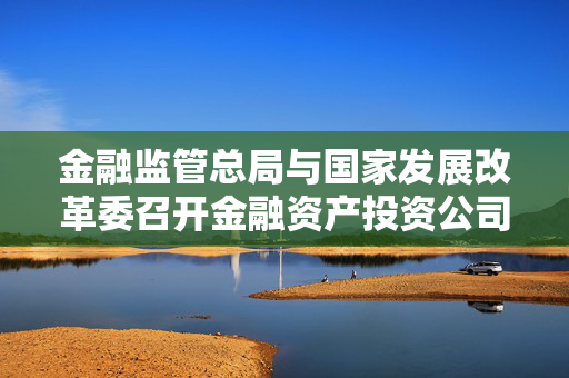 金融监管总局与国家发展改革委召开金融资产投资公司股权投资试点座谈会