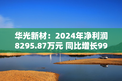 华光新材：2024年净利润8295.87万元 同比增长99.41%