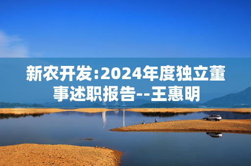 新农开发:2024年度独立董事述职报告--王惠明