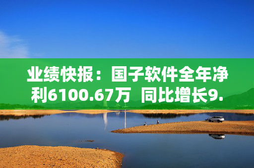 业绩快报：国子软件全年净利6100.67万  同比增长9.24%