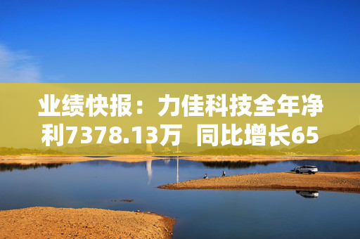 业绩快报：力佳科技全年净利7378.13万  同比增长65.38%