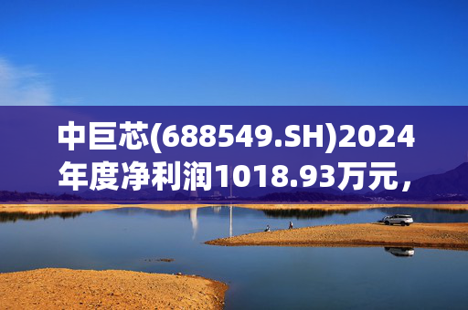 中巨芯(688549.SH)2024年度净利润1018.93万元，同比下降25.6%