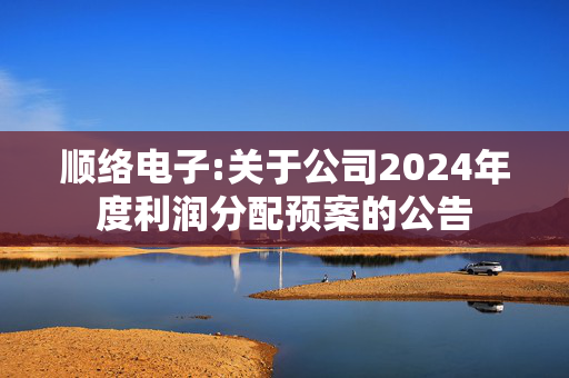 顺络电子:关于公司2024年度利润分配预案的公告