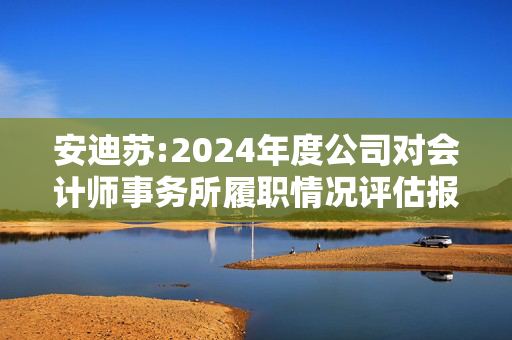 安迪苏:2024年度公司对会计师事务所履职情况评估报告