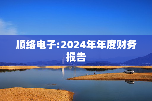 顺络电子:2024年年度财务报告