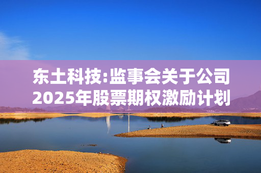 东土科技:监事会关于公司2025年股票期权激励计划首次授予激励对象名单的核查意见及公示情况说明