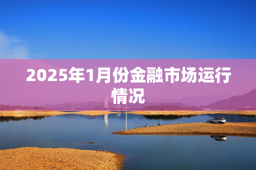 2025年1月份金融市场运行情况