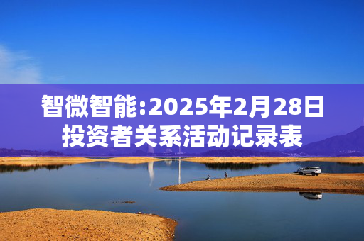 智微智能:2025年2月28日投资者关系活动记录表